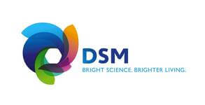 Spedition günstig DSM Logo